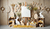 Fundo fotográfico Páscoa Ref. 22550