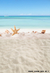 Fundo fotográfico PRAIA VERÃO - 202101 - comprar online