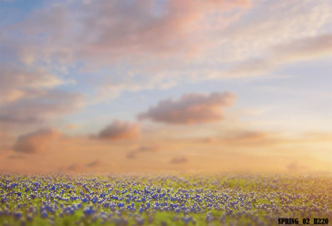 Fundo fotográfico SPRING - 02