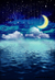 Fundo fotográfico STARNIGTH - 03