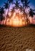 Fundo fotográfico VERÃO - 2020 11 - comprar online