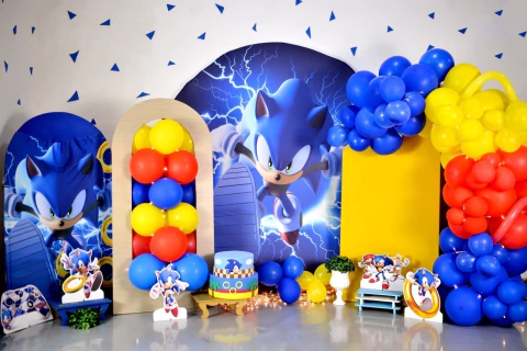 Fundo fotográfico Sonic-202301