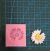 Molde rosa individual x1 en oferta 2cm(P3 inf C) - (copia) na internet