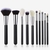 Set Black Snow 10 (brochas puntuales) + Regalo Sorpresa