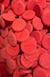 PAD APLICADOR POLIESPUMA ROJO OVERCARS - comprar online