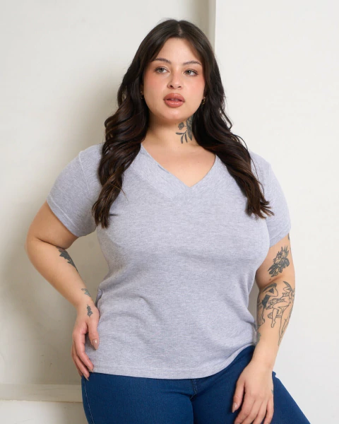 Remera Salta (10202) en internet