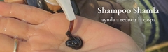 Banner de la categoría CASPA