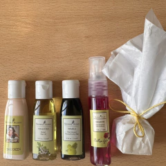 KIT VIAJERO - comprar online