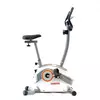 Bicicleta Fija Vertical Randers ARG-131