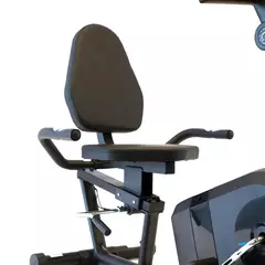 Bicicleta Recumber-Horizontal Randers ARG-2540 - comprar online