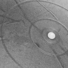 BALON FISIOLÓGICO de 55 Cm PELOTA ESFERODINAMIA FIT BALL QUUZ - QUUZ, Fitness Gear