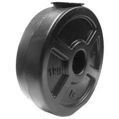 Disco Plastico Local 1 Kg - 25 mm QUUZ - comprar online