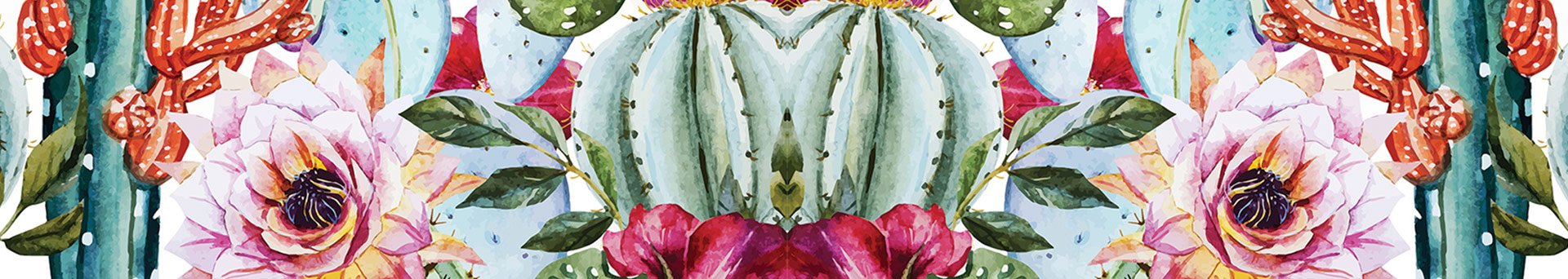 Banner PAZINÉ