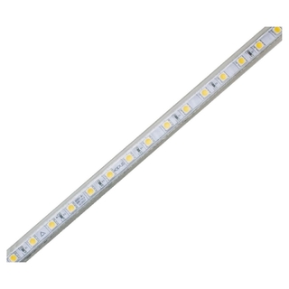 Fita de LED 100M 8w/m 6500k 127V IP65 FT 80532