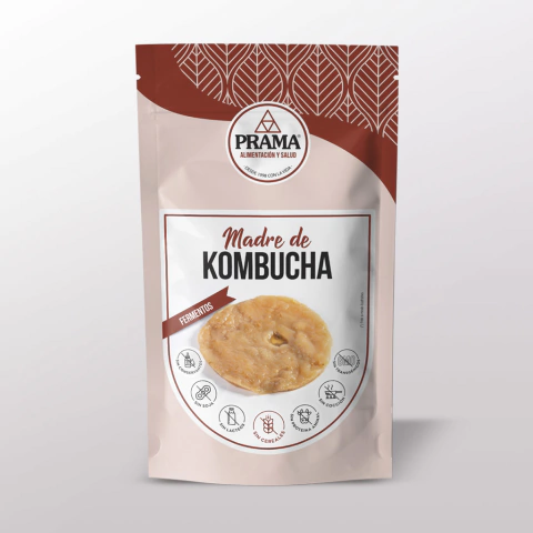 Madre de KOMBUCHA