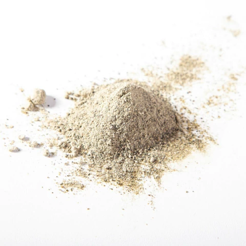 Algas KELP - comprar online