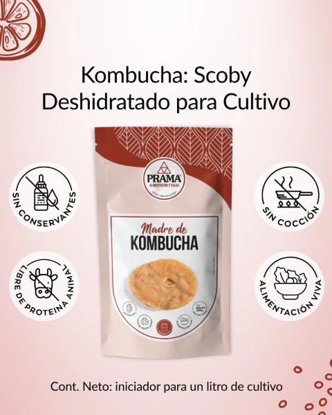Madre de KOMBUCHA