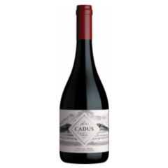 Cadus Signature Series Criolla