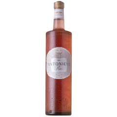 ANTONIETA ROSÉ en internet