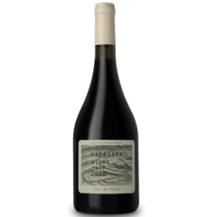 SÁTELITE - SEDA DE PLUTÓN PINOT NOIR