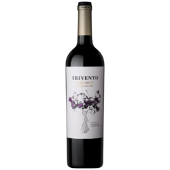 TRIVENTO GAUDEO SINGLE VINEYARD - GUALTALLARY