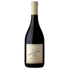DV Catena Tinto Histórico - Apelación Paraje de Altamira
