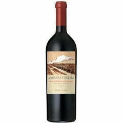 Adrianna Vineyard Mundus Bacillus Terrae Malbec 2020