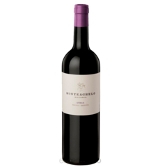 BRESSIA MONTEAGRELO SYRAH