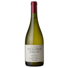 Zuccardi Polígonos Tupungato Semillón