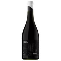 Chateau Subsonico Malbec Records Single Vineyard