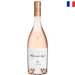 WHISPERING ANGEL ROSE - 2021