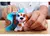 Perritos Sorpresa Con Bañera Washy Friends - comprar online