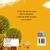 Livro Cartonado - Família do Tatu Taruto na internet