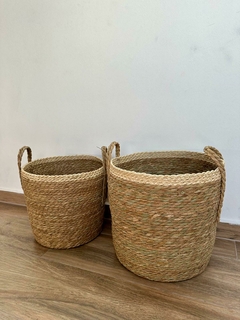 Canasto Pandran - comprar online