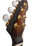 Imagen de Guitarra Electrica Ernie Ball Music Man Luke BFR Koa Island NewOldStock
