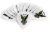 Púas Clayton Acetal Polymer Pick Standard Pack X 12 Unidades - KAIRON MUSIC