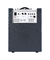 Amplificador Darkglass DG210D Infinity 500 Combo 210 Para Bajo - KAIRON MUSIC