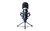 Marantz Pro MPM1000 Micrófono Condenser Grabacion Estudio - comprar online