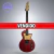 GUITARRA ELECTRICA NEWEN LP FRIZZ RED *USADO*