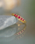 Anillo de Compromiso | Atardecer