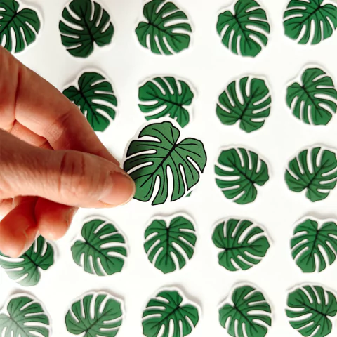 Sticker Monstera Verde