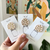 PIN MONSTERA ROSA