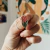 PIN PROTEA - comprar online