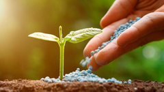 Banner da categoria FERTILIZANTES