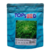 Semente De Chicória Escarola Lisa Batávia Sementes Topseed 100g