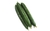 Semente De Pepino Japonês Taiko Sakata 1.000 Sementes - comprar online
