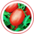 Semente De Tomate Híbrido Sv 2333 Tj Seminis 1000 Sementes