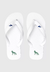 Chinelo Acostamento Basic - 122610