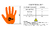 Competition Hand Grip – Luva para Cross Training Orange na internet