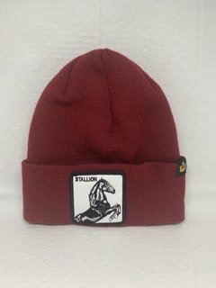 Stallion Bordo